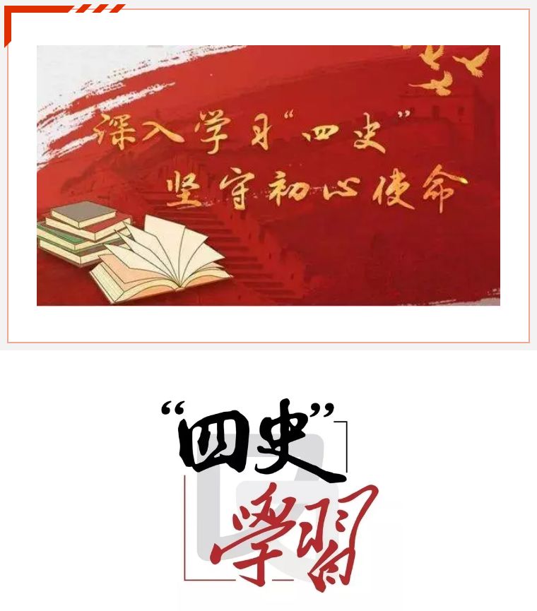 獅城怡安黨支部舉辦“四史”學習教育主題黨課