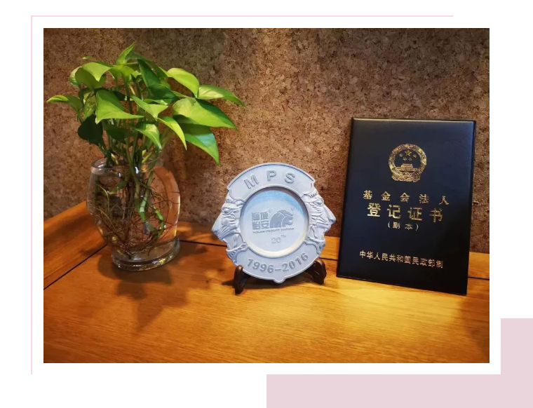 獅城怡安成立上海清新之愛公益基金會