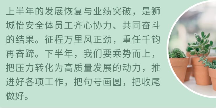 直面問題，突破提升！獅城怡安2020年半年度會議圓滿舉行