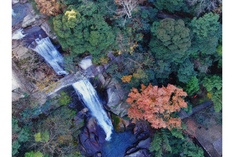 認真工作，快樂生活——獅城怡安工會組織開展一線員工旅游活動